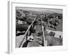 Shot of Cattle Feeding System-Philip Gendreau-Framed Photographic Print