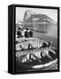 Shot of the Rock of Gibraltar-Ralph Crane-Framed Stretched Canvas