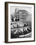 Shot of the Rock of Gibraltar-Ralph Crane-Framed Premium Photographic Print