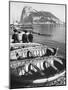 Shot of the Rock of Gibraltar-Ralph Crane-Mounted Premium Photographic Print