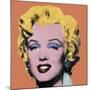 Shot Orange Marilyn, 1964-Andy Warhol-Mounted Art Print