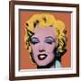 Shot Orange Marilyn, c.1964-Andy Warhol-Framed Giclee Print