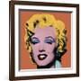 Shot Orange Marilyn, c.1964-Andy Warhol-Framed Giclee Print