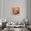 Shot Orange Marilyn, c.1964-Andy Warhol-Giclee Print displayed on a wall