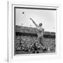 Shot Putter Francis Delaney in Mid-Throw in an Attempt to Qualify During the U.S. Olympic Tryouts-Ed Clark-Framed Premium Photographic Print