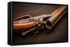 Shotgun-mariakraynova-Framed Stretched Canvas