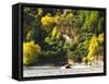 Shotover Jet, Shotover River, Queenstown, New Zealand-David Wall-Framed Stretched Canvas