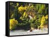 Shotover Jet, Shotover River, Queenstown, New Zealand-David Wall-Framed Stretched Canvas