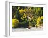 Shotover Jet, Shotover River, Queenstown, New Zealand-David Wall-Framed Photographic Print