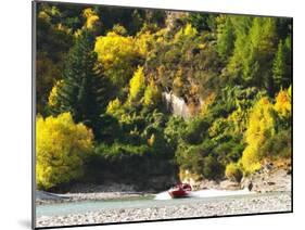 Shotover Jet, Shotover River, Queenstown, New Zealand-David Wall-Mounted Photographic Print