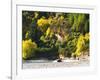 Shotover Jet, Shotover River, Queenstown, New Zealand-David Wall-Framed Photographic Print