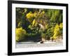 Shotover Jet, Shotover River, Queenstown, New Zealand-David Wall-Framed Photographic Print