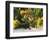 Shotover Jet, Shotover River, Queenstown, New Zealand-David Wall-Framed Photographic Print