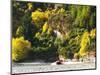 Shotover Jet, Shotover River, Queenstown, New Zealand-David Wall-Mounted Photographic Print