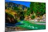 Shotover River, Queenstown, South Island, New Zealand, Pacific-Laura Grier-Mounted Photographic Print