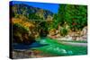 Shotover River, Queenstown, South Island, New Zealand, Pacific-Laura Grier-Stretched Canvas