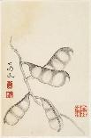 Bamboo Shoots, from an Album of Vegetables-Shou-min Pien-Stretched Canvas