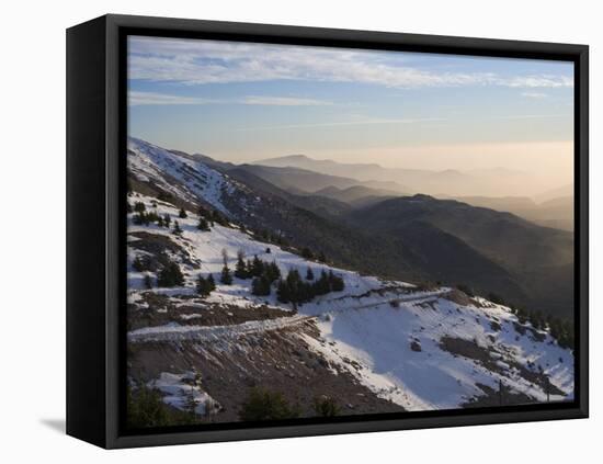 Shouf Cedar Nature Reserve, Lebanon Moutains, Lebanon-Ivan Vdovin-Framed Stretched Canvas