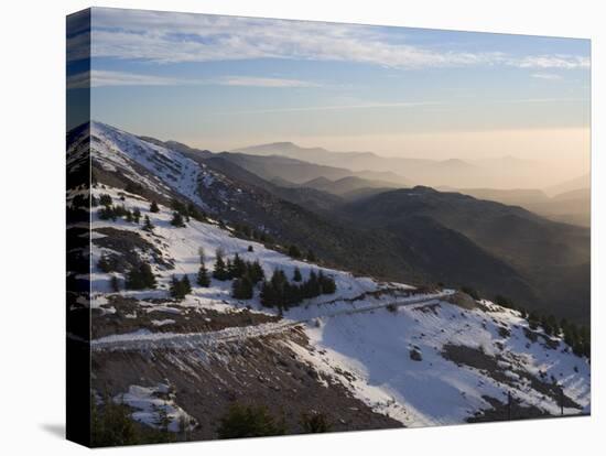 Shouf Cedar Nature Reserve, Lebanon Moutains, Lebanon-Ivan Vdovin-Stretched Canvas