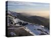 Shouf Cedar Nature Reserve, Lebanon Moutains, Lebanon-Ivan Vdovin-Stretched Canvas