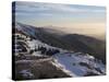 Shouf Cedar Nature Reserve, Lebanon Moutains, Lebanon-Ivan Vdovin-Stretched Canvas