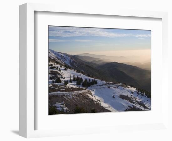 Shouf Cedar Nature Reserve, Lebanon Moutains, Lebanon-Ivan Vdovin-Framed Photographic Print