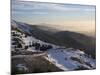 Shouf Cedar Nature Reserve, Lebanon Moutains, Lebanon-Ivan Vdovin-Mounted Photographic Print