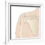 Shoulder Bones, Artwork-Peter Gardiner-Framed Photographic Print