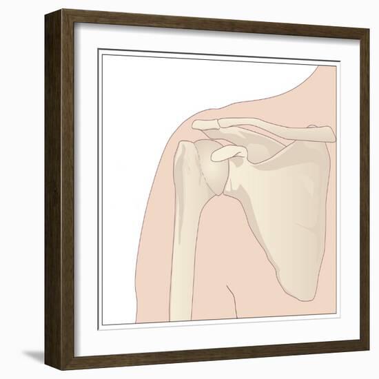 Shoulder Bones, Artwork-Peter Gardiner-Framed Photographic Print