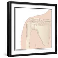 Shoulder Bones, Artwork-Peter Gardiner-Framed Photographic Print