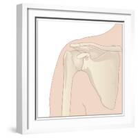 Shoulder Bones, Artwork-Peter Gardiner-Framed Photographic Print