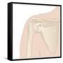 Shoulder Bones, Artwork-Peter Gardiner-Framed Stretched Canvas