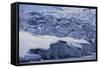 Shoup Glacier Covered in Fresh Snow-DLILLC-Framed Stretched Canvas