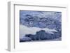 Shoup Glacier Covered in Fresh Snow-DLILLC-Framed Photographic Print