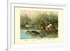 Shoveller Family of Ducks-Allan Brooks-Framed Premium Giclee Print