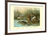 Shoveller Family of Ducks-Allan Brooks-Framed Premium Giclee Print