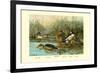 Shoveller Family of Ducks-Allan Brooks-Framed Premium Giclee Print