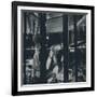 'Show cases in the Natural History Museum', 1941-Cecil Beaton-Framed Photographic Print