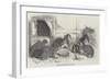 Show of the Metropolitan Fancy Rabbit Club-Benjamin Herring-Framed Giclee Print
