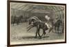 Show of Thoroughbred Stallions at Nottingham-null-Framed Giclee Print