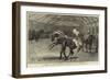 Show of Thoroughbred Stallions at Nottingham-null-Framed Giclee Print