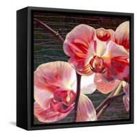 Show Offs-Jan McLaughlin-Framed Stretched Canvas