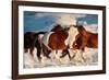 Show Runners-Lisa Dearing-Framed Photographic Print