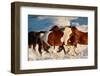 Show Runners-Lisa Dearing-Framed Photographic Print