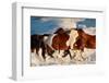 Show Runners-Lisa Dearing-Framed Photographic Print