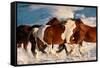 Show Runners-Lisa Dearing-Framed Stretched Canvas