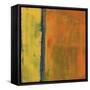 Show Stopper II-Joshua Schicker-Framed Stretched Canvas