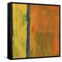 Show Stopper II-Joshua Schicker-Framed Stretched Canvas
