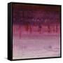 Show Stopper III-Joshua Schicker-Framed Stretched Canvas