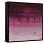 Show Stopper III-Joshua Schicker-Framed Stretched Canvas